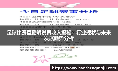 足球比赛直播解说员收入揭秘：行业现状与未来发展趋势分析