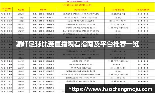 骊峰足球比赛直播观看指南及平台推荐一览