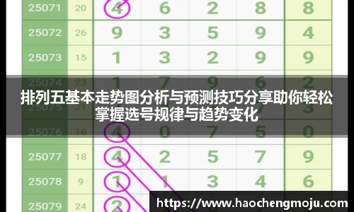 排列五基本走势图分析与预测技巧分享助你轻松掌握选号规律与趋势变化