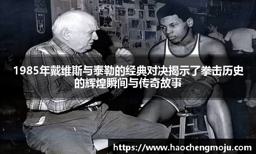 1985年戴维斯与泰勒的经典对决揭示了拳击历史的辉煌瞬间与传奇故事