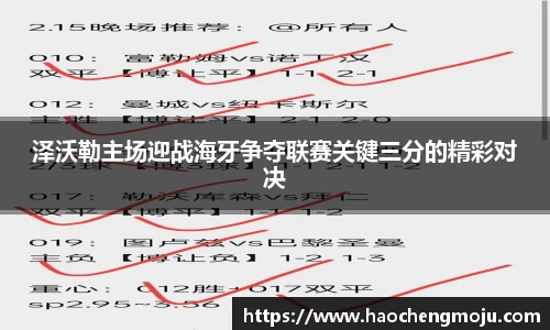 泽沃勒主场迎战海牙争夺联赛关键三分的精彩对决